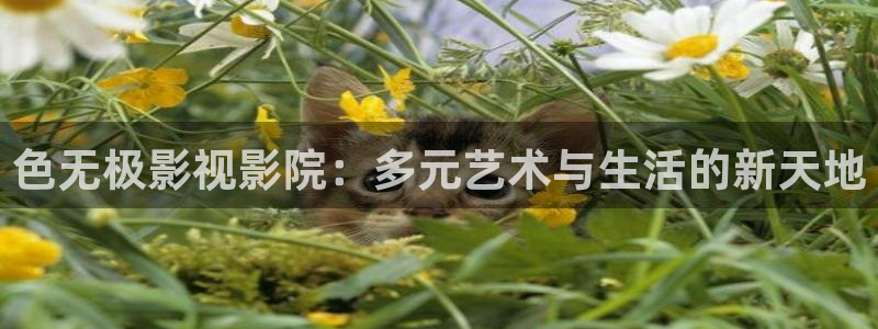 轨道9 电影：色无极影视影院：多元艺术与生活的新天地