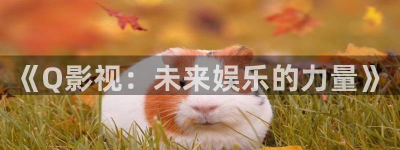 7d轨道影院：《Q影视：未来娱乐的力量》