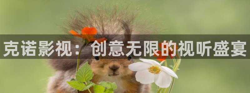 vr轨道影院：克诺影视：创意无限的视听盛宴