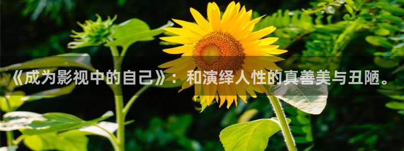 元宇宙轨道影院：《成为影视中的自己》：和演绎人性的真善美与丑陋。