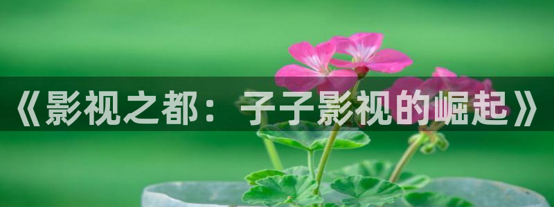 轨道影院厂家电话：《影视之都：子子影视的崛起》
