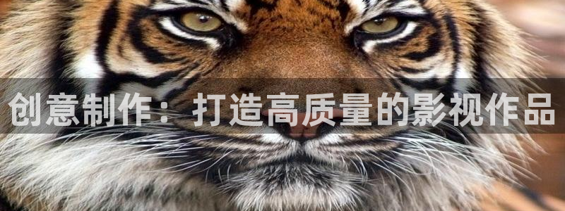 轨道9 电影：创意制作：打造高质量的影视作品