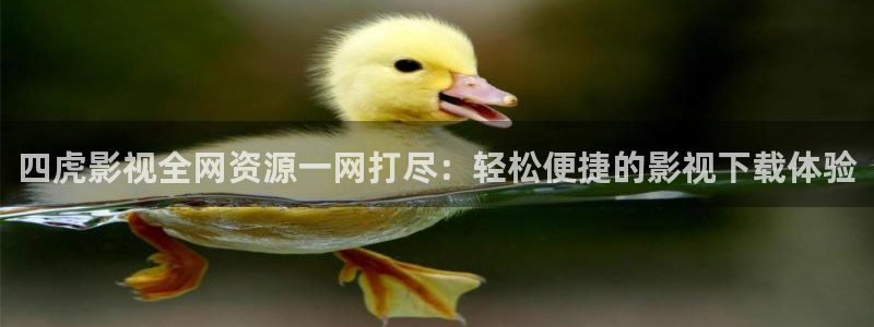 轨道影院有前景吗：四虎影视全网资源一网打尽：轻松便捷的影视下载体验
