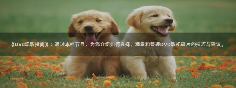轨道电影院：《Dvd观影指南》：通过本档节目，为您介绍如何选择、观看和整理DVD影视碟片的技巧与建议。